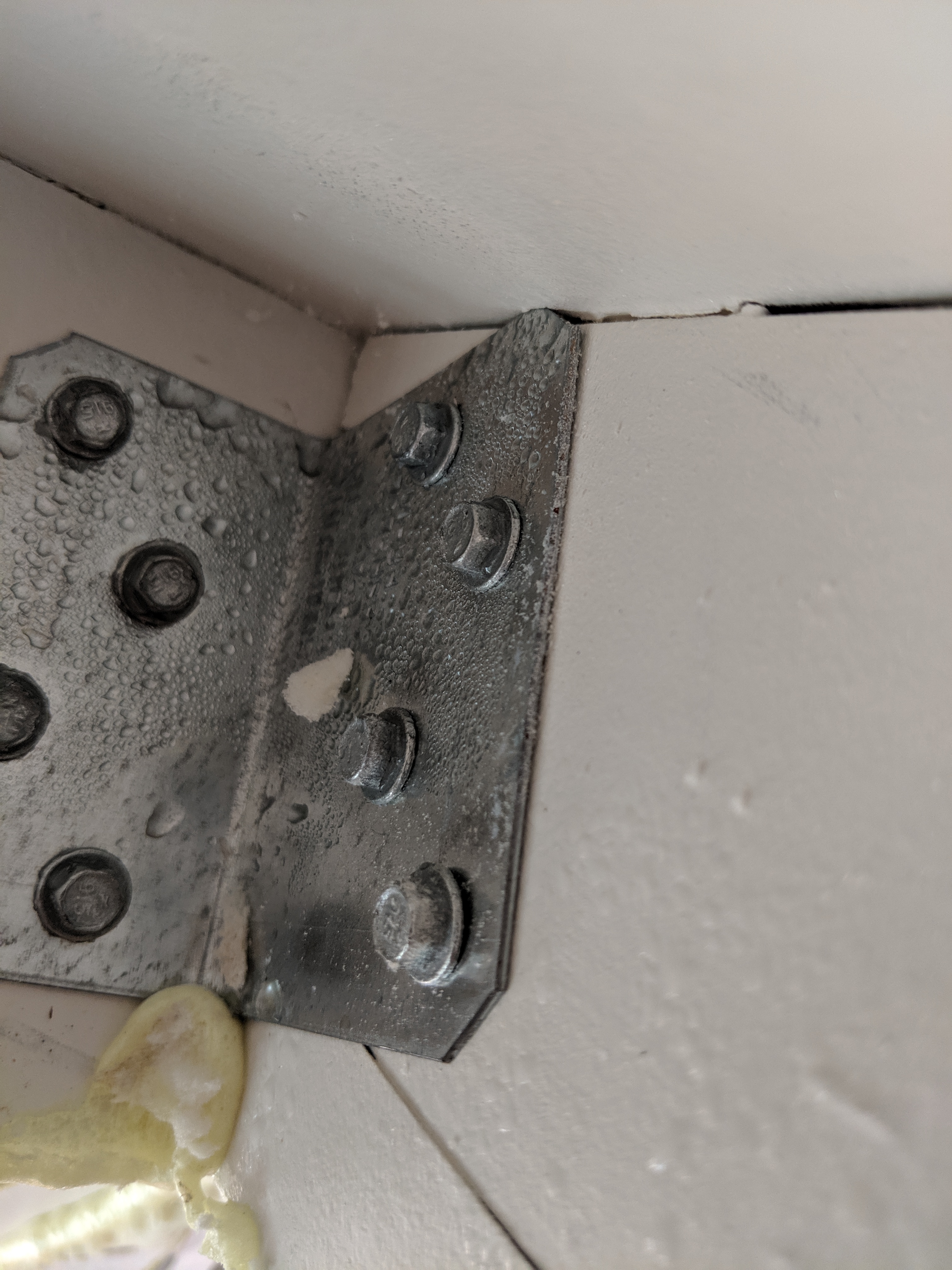 Moisture at door hinge